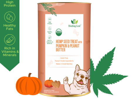 Healing Leaf Hemp Pumpkin Dog Treats Online Sale