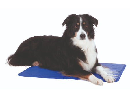 Trixie Cooling Mats for Dogs (Blue) Cheap