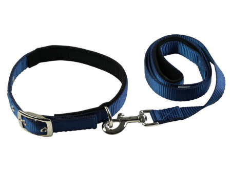 TopDog Premium Nylon Collar and Leash Set for Dogs (Blue) Supply