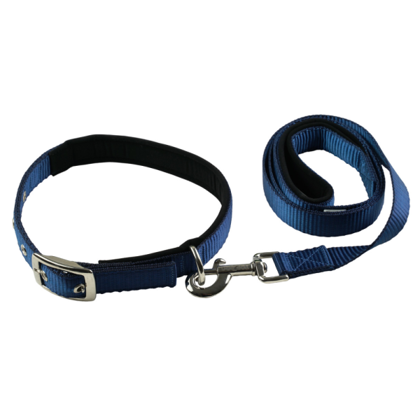 TopDog Premium Nylon Collar and Leash Set for Dogs (Blue) Supply