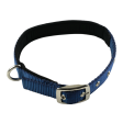 TopDog Premium Nylon Collar and Leash Set for Dogs (Blue) Supply