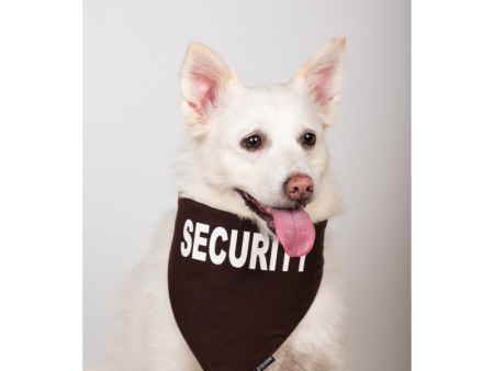 Petsnugs Security Bandana for Dogs and Cats (Coffee Brown) For Discount