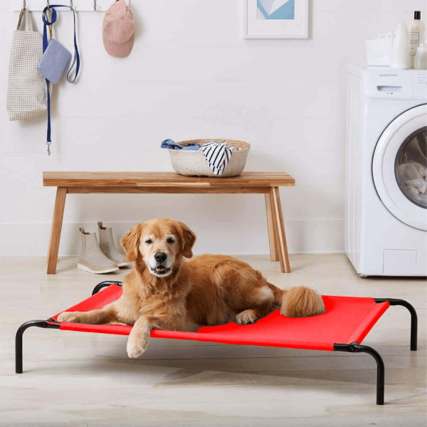 Fluffy s Pawsome Waterproof elevated Sides Camping Bed for Dogs (Red) For Sale