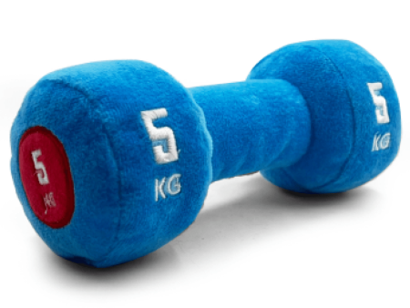 Goofy Tails Gym Series Dumbbell Plush Toy for Dogs (Blue) For Sale