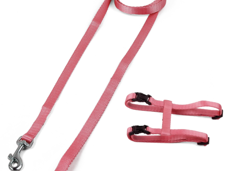 Trixie Harness with Leash for Cats & Kittens (Peach) Online now