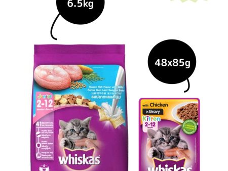 Whiskas Chicken in Gravy Meal Kitten Wet Food and Ocean Fish Kitten Dry Food Combo Online Sale