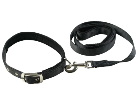 TopDog Premium Nylon Collar and Leash Set for Dogs (Black) Hot on Sale