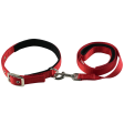 TopDog Premium Nylon Collar and Leash Set for Dogs (Red) on Sale