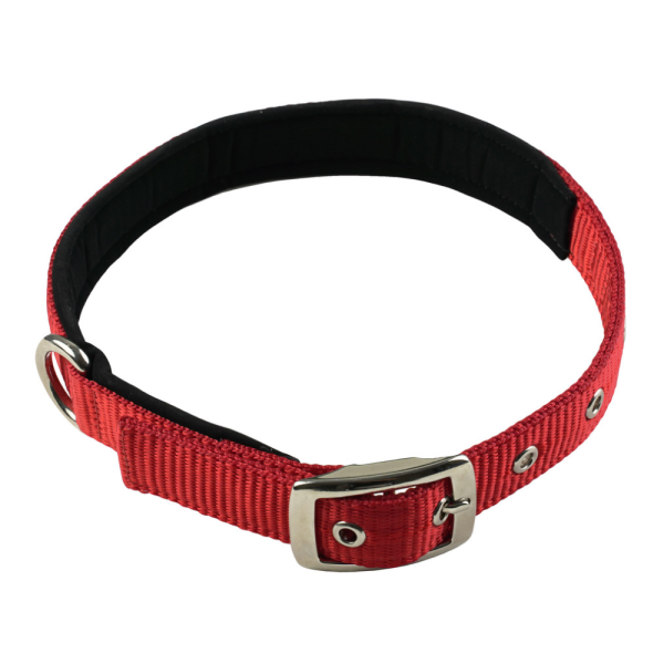 TopDog Premium Nylon Collar and Leash Set for Dogs (Red) on Sale