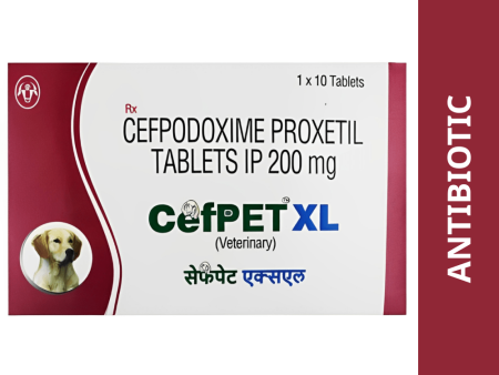 Intas Cefpet XL 200mg (Cefpodoxime Proxetil) Tablet on Sale