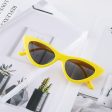 Wholesale Cat Eye Small Frame Triangular PC Sunglasses Supply