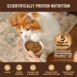 20% OFF FREE CANNED FOOD w 5lb : Wellness CORE Kitten Deboned Turkey, Turkey Meal & Deboned Chicken Grain-Free Dry Cat Food Hot on Sale