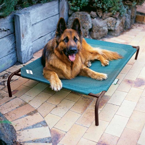 15% OFF: Coolaroo Elevated Knitted Fabric Pet Bed - Green Hot on Sale