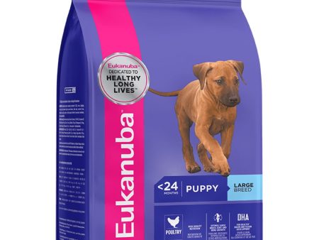 BUNDLE DEAL: Eukanuba Puppy Large Breed Chicken Dry Dog Food For Cheap